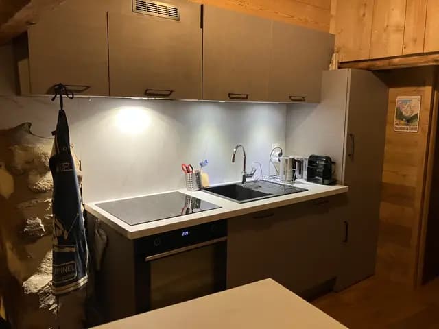 Cuisine équipée avec évier, plaques de cuisson et meubles en bois