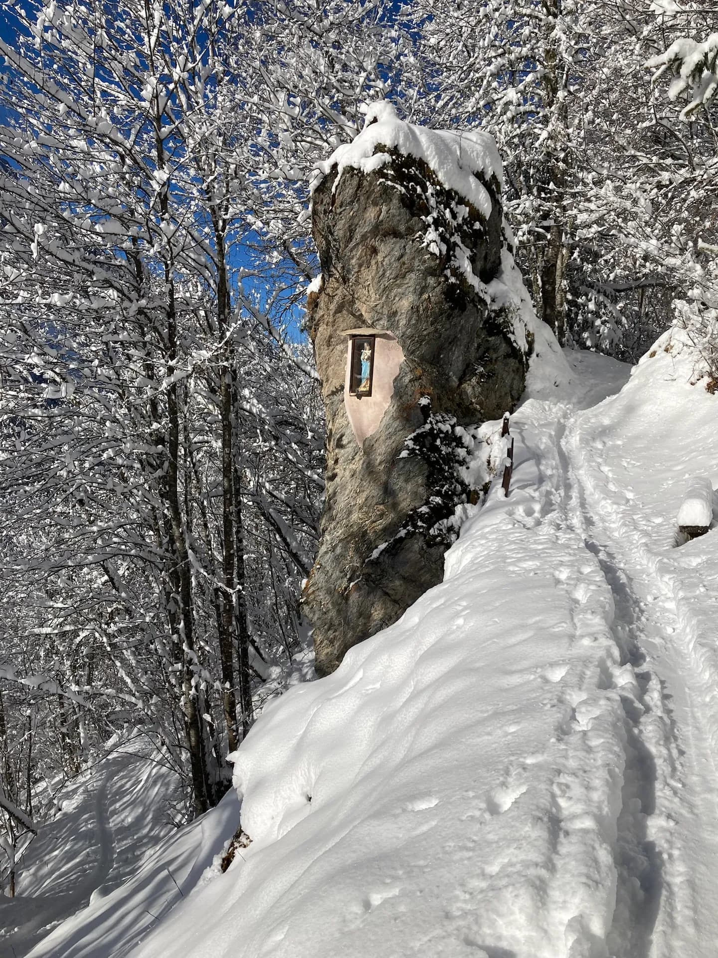 Escalier enneigé bordé de sapins enneigés